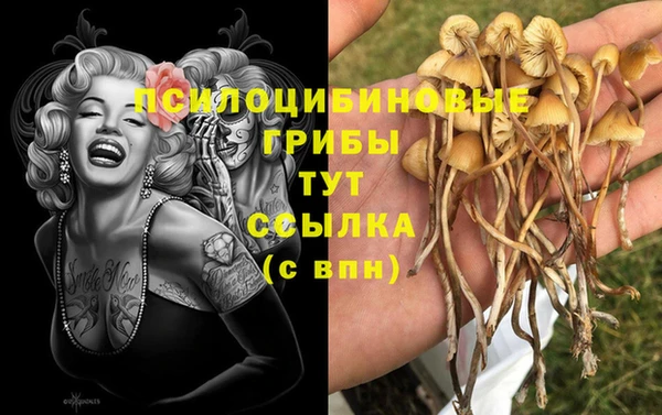 2c-b Осташков