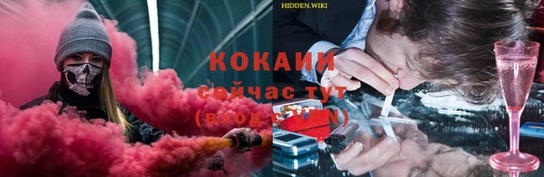 2c-b Осташков