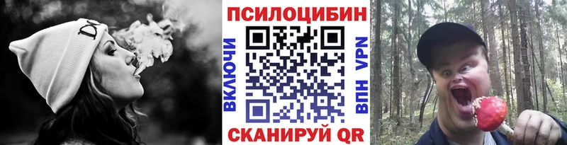 наркота  Советская Гавань  Галлюциногенные грибы MAGIC MUSHROOMS 