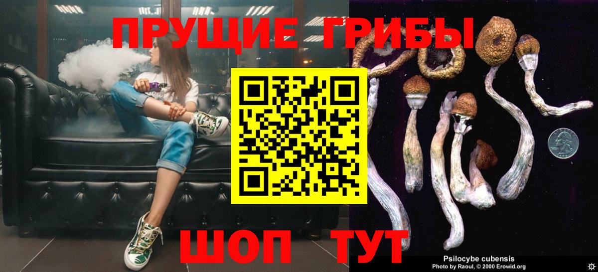 купить  цена  Вход с VPN  Советская Гавань  Псилоцибиновые грибы Psilocybe 